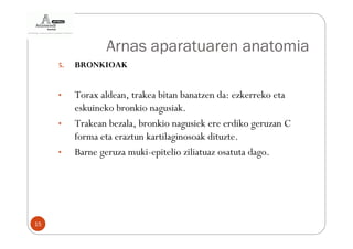 Arnas aparatuaren anatomia
     5.   BRONKIOAK


     •    Torax aldean, trakea bitan banatzen da: ezkerreko eta
          eskuineko bronkio nagusiak.
     •    Trakean bezala, bronkio nagusiek ere erdiko geruzan C
          forma eta eraztun kartilaginosoak dituzte.
     •    Barne geruza muki-epitelio ziliatuaz osatuta dago.




15
 