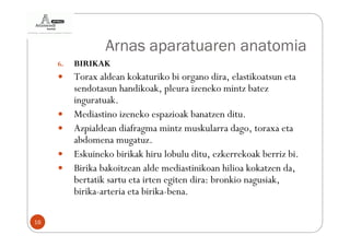 Arnas aparatuaren anatomia
     6.   BIRIKAK
          Torax aldean kokaturiko bi organo dira, elastikoatsun eta
          sendotasun handikoak, pleura izeneko mintz batez
          inguratuak.
          Mediastino izeneko espazioak banatzen ditu.
          Azpialdean diafragma mintz muskularra dago, toraxa eta
          abdomena mugatuz.
          Eskuineko birikak hiru lobulu ditu, ezkerrekoak berriz bi.
          Birika bakoitzean alde mediastinikoan hilioa kokatzen da,
          bertatik sartu eta irten egiten dira: bronkio nagusiak,
          birika-arteria eta birika-bena.

16
 