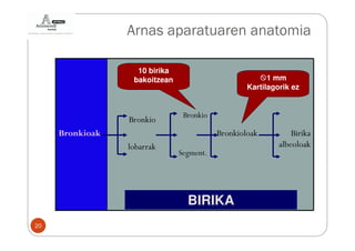 Arnas aparatuaren anatomia

                   10 birika
                  bakoitzean                            1 mm
                                                  Kartilagorik ez


                                Bronkio
                 Bronkio
     Bronkioak                            Bronkioloak          Birika
                 lobarrak                                  albeoloak
                               Segment.




                                 BIRIKA
20
 