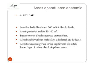 Arnas aparatuaren anatomia
     7.   ALBEOLOAK



          14 milioi hodi albeolar eta 700 milioi albeolo daude.
          Arnas-geruzaren azalera 50-100 m2.
          Pneumozitoek albeoloen geruza eratzen dute.
          Albeoloen barrunbean makrofago aldeolarrak ere badaude.
          Albeoloetan arnas geruza birika-kapilarrekin oso estuki
          lotuta dago mintz albeolo-kapilarra eratuz.



21
 