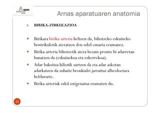 Arnas aparatuaren anatomia
     8.   BIRIKA-ZIRKULAZIOA


          Birikara birika-arteria heltzen da, bihotzeko eskuineko
          bentrikulotik ateratzen den odol-emaria eramanez.
          Birika-arteria bihotzetik atera bezain pronto bi adarretan
          banatzen da (eskuinekoa eta ezkerrekoa).
          Adar bakoitza hiliotik sartzen da eta adar askotan
          adarkatzen da zuhaitz bronkialri jarraituz albeoloetara
          heldurarte.
          Birika-arteriak odol oxigenatua eramaten du.


23
 