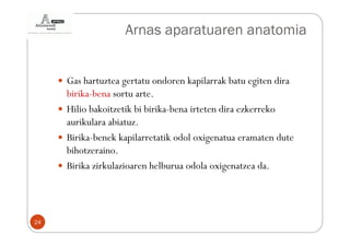Arnas aparatuaren anatomia


     Gas hartuztea gertatu ondoren kapilarrak batu egiten dira
     birika-bena sortu arte.
     Hilio bakoitzetik bi birika-bena irteten dira ezkerreko
     aurikulara abiatuz.
     Birika-benek kapilarretatik odol oxigenatua eramaten dute
     bihotzeraino.
     Birika zirkulazioaren helburua odola oxigenatzea da.




24
 