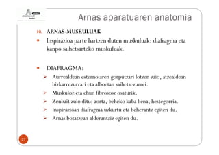 Arnas aparatuaren anatomia
     10. ARNAS-MUSKULUAK
       Inspirazioa parte hartzen duten muskuluak: diafragma eta
       kanpo saihetsarteko muskuluak.

       DIAFRAGMA:
         Aurrealdean esternoiaren gorputzari lotzen zaio, atzealdean
         bizkarrezurrari eta alboetan saihetsezurrei.
         Muskuloz eta ehun fibrososz osaturik.
         Zenbait zulo ditu: aorta, beheko kaba bena, hestegorria.
         Inspirazioan diafragma uzkurtu eta beherantz egiten du.
         Arnas botatzean alderantziz egiten du.


27
 