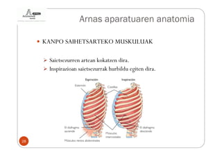 Arnas aparatuaren anatomia

     KANPO SAIHETSARTEKO MUSKULUAK

      Saietsezurren artean kokatzen dira.
      Inspirazioan saietsezurrak hurbildu egiten dira.




28
 