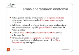 Arnas aparatuaren anatomia

    Zelula guztiak energia produzitzeko O2-a ingurunetik hartu
    behar dute. Ondoren sortutako CO2-a ere kanporatu egin
    behar dute.
    Zelulanitzeko izakiak zelula guztiak ingurunearekin kontaktuan
    ez daudenez trukaketa egiteko garraiobide bat behar dute
    Arnas aparatua
    Gizakian airea sartzeaz eta odolarekin kontaktuan jartzeaz
    arduratzen da.
    Zirkulazio sistemak O2-a garaiatu eta banatzen du giza
    gorputzean zehar eta zelula barnean sortzen den CO2-a
    kanporatzeko gai izango da.

4    TAFYD 1. Maila                                         Juan Arbulu
 