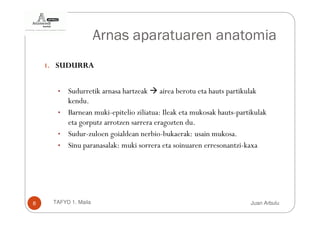 Arnas aparatuaren anatomia
    1. SUDURRA


      • Sudurretik arnasa hartzeak airea berotu eta hauts partikulak
        kendu.
      • Barnean muki-epitelio ziliatua: Ileak eta mukosak hauts-partikulak
        eta gorputz arrotzen sarrera eragozten du.
      • Sudur-zuloen goialdean nerbio-bukaerak: usain mukosa.
      • Sinu paranasalak: muki sorrera eta soinuaren erresonantzi-kaxa




8    TAFYD 1. Maila                                                 Juan Arbulu
 