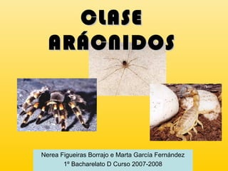 CLASECLASE
ARÁCNIDOSARÁCNIDOS
Nerea Figueiras Borrajo e Marta García Fernández
1º Bacharelato D Curso 2007-2008
Nerea Figueiras Borrajo e Marta García Fernández
1º Bacharelato D Curso 2007-2008
 