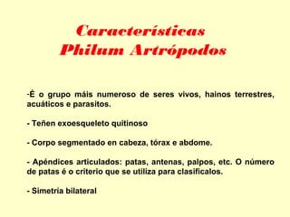 -É o grupo máis numeroso de seres vivos, hainos terrestres,
acuáticos e parasitos.
- Teñen exoesqueleto quitinoso
- Corpo segmentado en cabeza, tórax e abdome.
- Apéndices articulados: patas, antenas, palpos, etc. O número
de patas é o criterio que se utiliza para clasificalos.
- Simetría bilateral 
Características
Philum Artrópodos
 