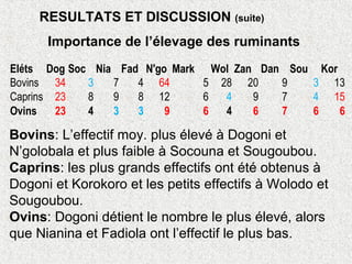 Importance de l’élevage des ruminants
Eléts Dog Soc Nia Fad N'go Mark Wol Zan Dan Sou Kor
Bovins 34 3 7 4 64 5 28 20 9 3 13
Caprins 23 8 9 8 12 6 4 9 7 4 15
Ovins 23 4 3 3 9 6 4 6 7 6 6
Bovins: L’effectif moy. plus élevé à Dogoni et
N’golobala et plus faible à Socouna et Sougoubou.
Caprins: les plus grands effectifs ont été obtenus à
Dogoni et Korokoro et les petits effectifs à Wolodo et
Sougoubou.
Ovins: Dogoni détient le nombre le plus élevé, alors
que Nianina et Fadiola ont l’effectif le plus bas.
RESULTATS ET DISCUSSION (suite)
 