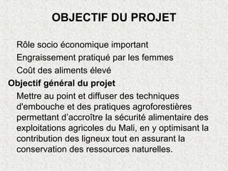 OBJECTIF DU PROJET
Rôle socio économique important
Engraissement pratiqué par les femmes
Coût des aliments élevé
Objectif général du projet
Mettre au point et diffuser des techniques
d'embouche et des pratiques agroforestières
permettant d’accroître la sécurité alimentaire des
exploitations agricoles du Mali, en y optimisant la
contribution des ligneux tout en assurant la
conservation des ressources naturelles.
 