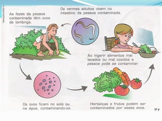 5a série   a importância da água potável