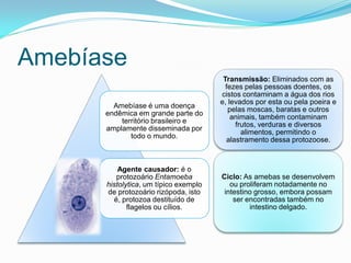 Amebíase
Amebíase é uma doença
endêmica em grande parte do
território brasileiro e
amplamente disseminada por
todo o mundo.
Agente causador: é o
protozoário Entamoeba
histolytica, um típico exemplo
de protozoário rizópoda, isto
é, protozoa destituído de
flagelos ou cílios.
Transmissão: Eliminados com as
fezes pelas pessoas doentes, os
cistos contaminam a água dos rios
e, levados por esta ou pela poeira e
pelas moscas, baratas e outros
animais, também contaminam
frutos, verduras e diversos
alimentos, permitindo o
alastramento dessa protozoose.
Ciclo: As amebas se desenvolvem
ou proliferam notadamente no
intestino grosso, embora possam
ser encontradas também no
intestino delgado.
 