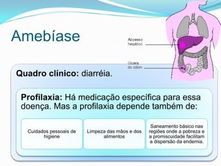 Amebíase
Quadro clínico: diarréia.
Profilaxia: Há medicação específica para essa
doença. Mas a profilaxia depende também de:
Cuidados pessoais de
higiene
Limpeza das mãos e dos
alimentos
Saneamento básico nas
regiões onde a pobreza e
a promiscuidade facilitam
a dispersão da endemia.
 