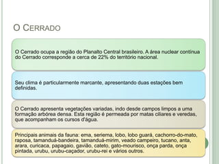 O CERRADO

O Cerrado ocupa a região do Planalto Central brasileiro. A área nuclear contínua
do Cerrado corresponde a cerca de 22% do território nacional.



Seu clima é particularmente marcante, apresentando duas estações bem
definidas.



O Cerrado apresenta vegetações variadas, indo desde campos limpos a uma
formação arbórea densa. Esta região é permeada por matas ciliares e veredas,
que acompanham os cursos d'água.

Principais animais da fauna: ema, seriema, lobo, lobo guará, cachorro-do-mato,
raposa, tamanduá-bandeira, tamanduá-mirim, veado campeiro, tucano, anta,
arara, curicaca, papagaio, gavião, cateto, gato-mourisco, onça parda, onça
pintada, urubu, urubu-caçador, urubu-rei e vários outros.
 