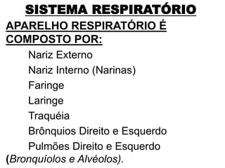 SISTEMA RESPIRATÓRIO
APARELHO RESPIRATÓRIO É
COMPOSTO POR:
Nariz Externo
Nariz Interno (Narinas)
Faringe
Laringe
Traquéia
Brônquios Direito e Esquerdo
Pulmões Direito e Esquerdo
(Bronquíolos e Alvéolos).
 