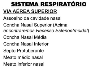 SISTEMA RESPIRATÓRIO
VIA AÉREA SUPERIOR
Assoalho da cavidade nasal
Concha Nasal Superior (Acima
encontraremos Recesso Esfenoetmoidal)
Concha Nasal Média
Concha Nasal Inferior
Septo Protuberante
Meato médio nasal
Meato inferior nasal
 