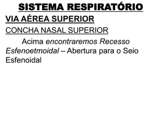 SISTEMA RESPIRATÓRIO
VIA AÉREA SUPERIOR
CONCHA NASAL SUPERIOR
Acima encontraremos Recesso
Esfenoetmoidal – Abertura para o Seio
Esfenoidal
 