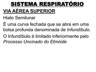 SISTEMA RESPIRATÓRIO
VIA AÉREA SUPERIOR
Hiato Semilunar
É uma curva fechada que se abre em uma
bolsa profunda denominada de Infundíbulo.
O Infundíbulo é limitado inferiormente pelo
Processo Uncinado do Etmóide
 