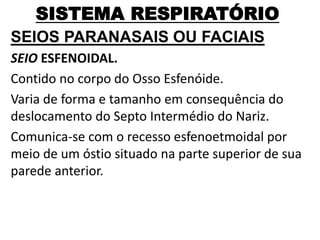 SISTEMA RESPIRATÓRIO
SEIOS PARANASAIS OU FACIAIS
SEIO ESFENOIDAL.
Contido no corpo do Osso Esfenóide.
Varia de forma e tamanho em consequência do
deslocamento do Septo Intermédio do Nariz.
Comunica-se com o recesso esfenoetmoidal por
meio de um óstio situado na parte superior de sua
parede anterior.
 