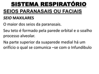 SISTEMA RESPIRATÓRIO
SEIOS PARANASAIS OU FACIAIS
SEIO MAXILARES
O maior dos seios da paranasais.
Seu teto é formado pela parede orbital e o soalho
processo alveolar.
Na parte superior da suaparede medial há um
orifício o qual se comunica –se com o Infundibulo
 