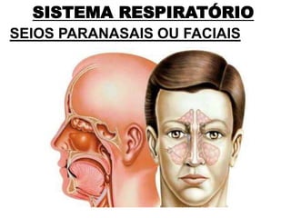 SISTEMA RESPIRATÓRIO
SEIOS PARANASAIS OU FACIAIS
 