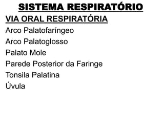 SISTEMA RESPIRATÓRIO
VIA ORAL RESPIRATÓRIA
Arco Palatofaríngeo
Arco Palatoglosso
Palato Mole
Parede Posterior da Faringe
Tonsila Palatina
Úvula
 