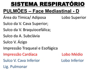 SISTEMA RESPIRATÓRIO
PULMÕES – Face Mediastinal - D
Área do Tímica/ Adiposa Lobo Superior
Sulco da V. Cava Superior;
Sulco da V. Braquiocefálica;
Sulco da A. Subclávia
Sulco V. Ázigo
Impressão Traqueal e Esofágica
Impressão Cardíaca Lobo Médio
Sulco V. Cava Inferior Lobo Inferior
Lig. Pulmonar
 
