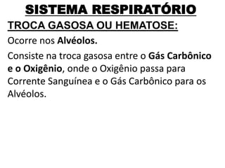 SISTEMA RESPIRATÓRIO
TROCA GASOSA OU HEMATOSE:
Ocorre nos Alvéolos.
Consiste na troca gasosa entre o Gás Carbônico
e o Oxigênio, onde o Oxigênio passa para
Corrente Sanguínea e o Gás Carbônico para os
Alvéolos.
 