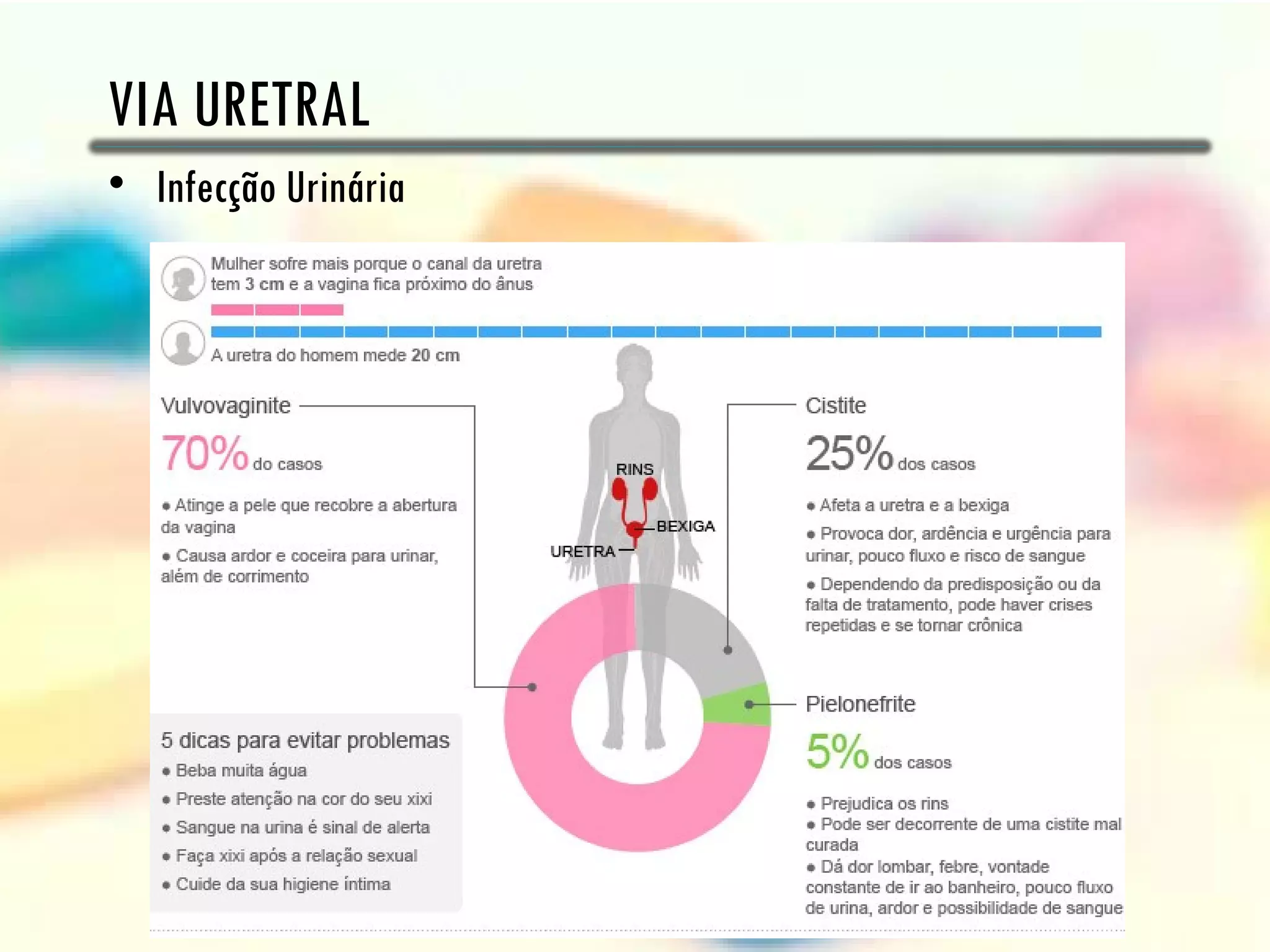 VIA URETRAL
• Infecção Urinária
 