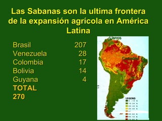 Brasil 207
Venezuela 28
Colombia 17
Bolivia 14
Guyana 4
TOTAL
270
BrasilBrasil 207207
VenezuelaVenezuela 2828
ColombiaColombia 1717
BoliviaBolivia 1414
GuyanaGuyana 44
TOTALTOTAL
270270
Las Sabanas son la ultima frontera
de la expansión agrícola en América
Latina
Las Sabanas son la ultima fronteraLas Sabanas son la ultima frontera
de la expanside la expansióón agrn agríícola en Amcola en Amééricarica
LatinaLatina
LlanosLlanos
CerradosCerrados
 