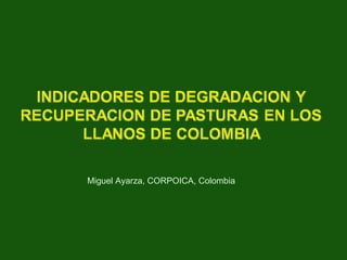 Miguel Ayarza, Red de Forrajes, COPOICA, Colombia
Miguel Ayarza, CORPOICA, Colombia
 