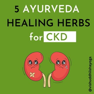 5 AYURVEDA
HEALING HERBS
for CKD
@vishuddhiishayoga
 