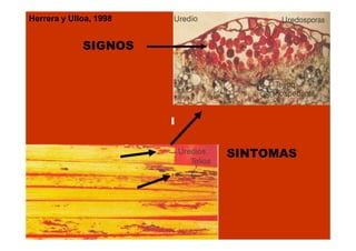 Herrera y Ulloa, 1998

SIGNOS

I

SINTOMAS

 