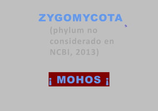 ZYGOMYCOTA
(phylum no
considerado en
NCBI, 2013)

¡ MOHOS ¡

 