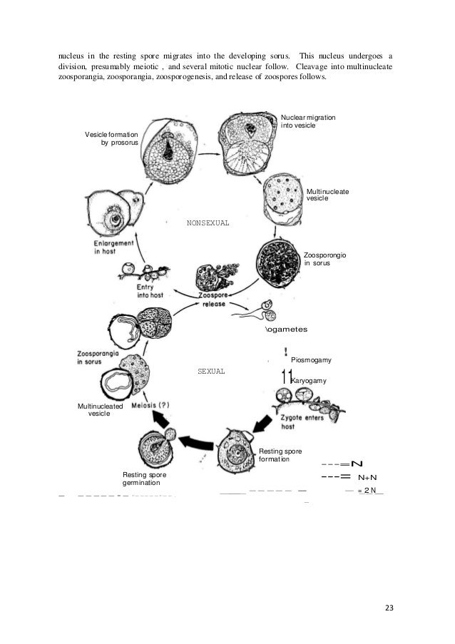 5 b 2-teoria-cap-iii