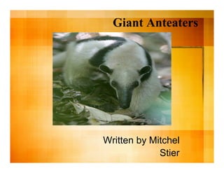 Giant Anteaters
Written by Mitchel
Stier
 