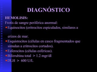 DIAGNÓSTICO <ul><li>HEMOLISIS: </li></ul><ul><li>Frotís de sangre periférica anormal: </li></ul><ul><li>Equinocitos (eritr...