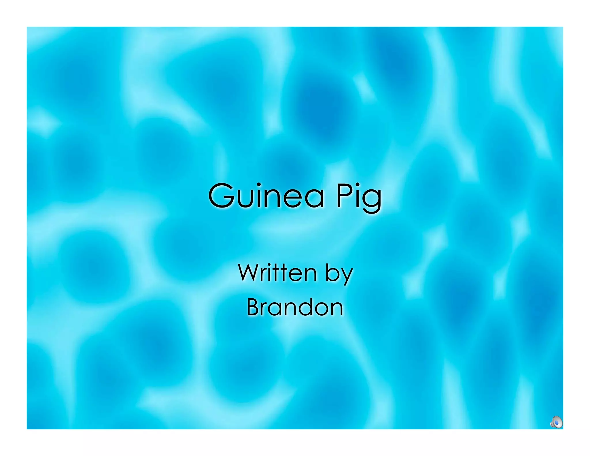 5b-guiena-pig-ppt