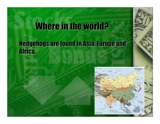 Where in the world?
 Hedgehogs are found in Asia, Europe and
Africa.
 