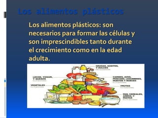 Los alimentos plásticos
Los alimentos plásticos: son
necesarios para formar las células y
son imprescindibles tanto durante
el crecimiento como en la edad
adulta.

 