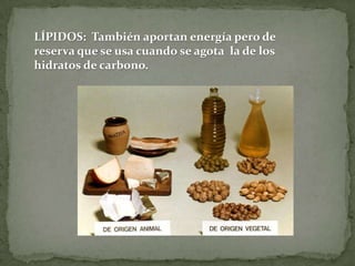 LÍPIDOS: También aportan energía pero de
reserva que se usa cuando se agota la de los
hidratos de carbono.

 