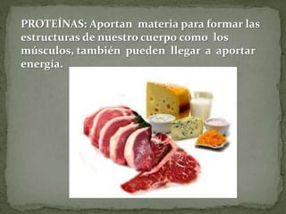 PROTEÍNAS: Aportan materia para formar las
estructuras de nuestro cuerpo como los
músculos, también pueden llegar a aportar
energía.

 