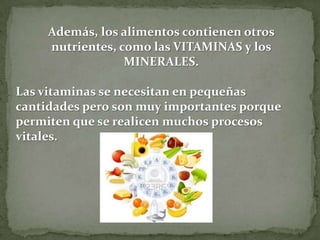Además, los alimentos contienen otros
nutrientes, como las VITAMINAS y los
MINERALES.
Las vitaminas se necesitan en pequeñas
cantidades pero son muy importantes porque
permiten que se realicen muchos procesos
vitales.

 
