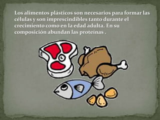 Los alimentos plásticos son necesarios para formar las
células y son imprescindibles tanto durante el
crecimiento como en la edad adulta. En su
composición abundan las proteínas .

 