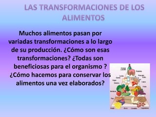 Muchos alimentos pasan por
variadas transformaciones a lo largo
de su producción. ¿Cómo son esas
transformaciones? ¿Todas son
beneficiosas para el organismo ?
¿Cómo hacemos para conservar los
alimentos una vez elaborados?

 