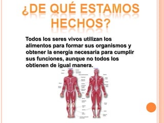 Todos los seres vivos utilizan los
alimentos para formar sus organismos y
obtener la energía necesaria para cumplir
sus funciones, aunque no todos los
obtienen de igual manera.

 