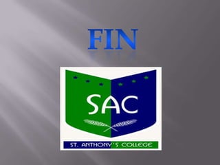 5to grado B- Libro sobre alimentación saludable y los alimentos.