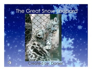 The Great Snow Leopard




    Created by: Daniel
 