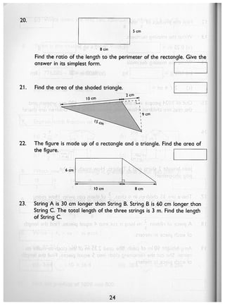 Singapore Math - 5B - Workbook | PDF