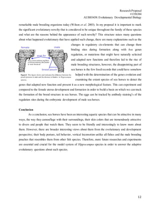Research Proposal
#1356384
AUBIO438: Evolutionary Developmental Biology
12
remarkable male brooding organisms today (Wilson et al. 2003). In my proposal it is important to mark
the significant evolutionary novelty that is considered to be unique throughout the family of these species
and what are the reasons behind the appearance of such novelty? This structure raises many questions
about what happened evolutionary that have applied such change, there are many explanations such as the
changes in regulatory cis-elements that can change there
binding sites during formation along with hox genes
regulation, or mutations that might have naturally selected
and adapted new functions and therefore led to the rise of
male brooding structures, however, the disappointing part of
sea horses is the few fossil records that could have somehow
helped with the determination of the genes evolution and
examining the extant species of sea horses to detect the
genes that adapted new function and present it as a new morphological feature. This can experiment and
compared to the female uterus development and formation in order to build a basis on which we can track
the formation of the brood structure in sea horses. The eggs can be tracked by antibody staining’s of the
regulation sites during the embryonic development of male sea horses.
Conclusion
As a conclusion, sea horses have been an interesting aquatic species that can be attractive in many
ways, the way they camouflage with their surroundings, their skin colors that are tremendously attractive
to divers and people that watch them. They seem to be friendly and interestingly to know more about
them. However, there are broader interesting views about them from the evolutionary and development
perspective; their body posture, tail behavior, vertical locomotion unlike all fishes and the male brooding
pouches that resembles them from other fish species. Therefore, more future researches and experiments
are essential and crucial for the model system of Hippocampus species in order to answer the adaptive
evolutionary questions about such species.
http://www.seahorse.org/librar
y/articles/anatomy_files/seahor
se_male_female.gif
Figure3: This figure shows and indicates the difference between the
pouch presence in male and the absence in females in Hippocampus
species.
 